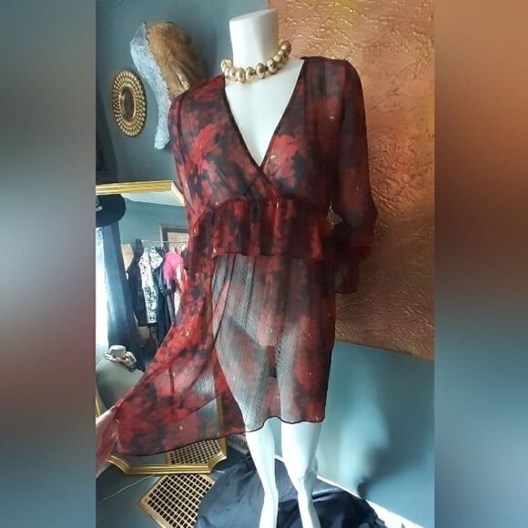 Zara Chiffon Sheer Ruffled Mini Dress - Picture 3 of 13